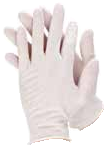 Vinyl Gloves with Powder